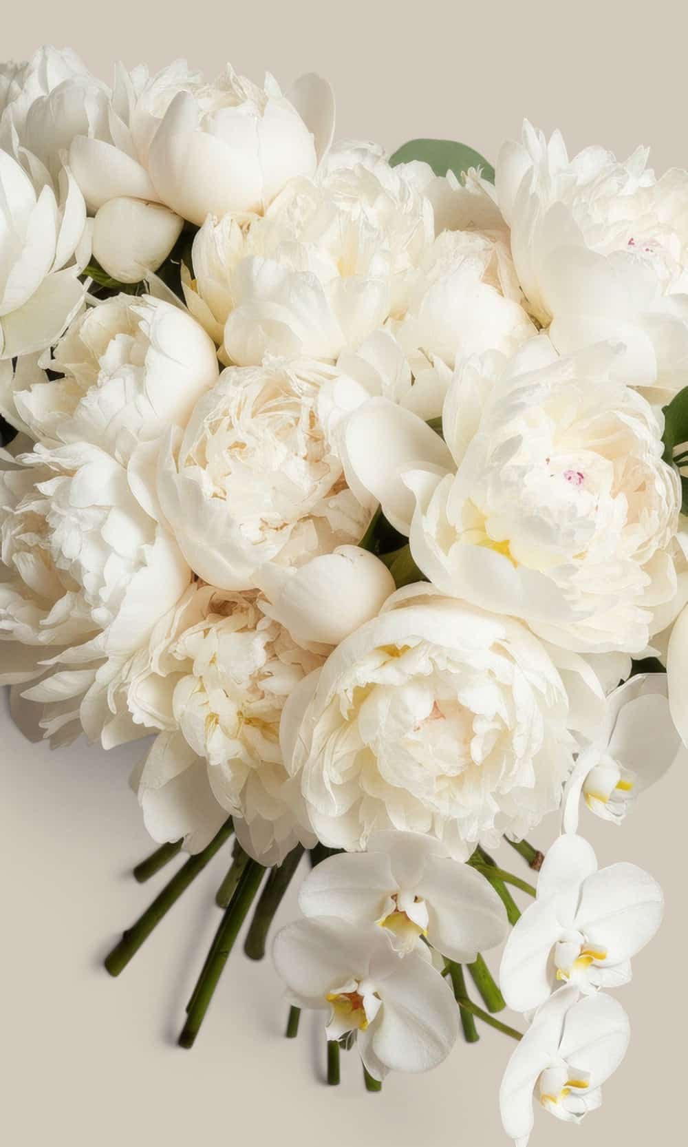 Elegant bridesmaid bouquet, featuring white orchids and lush white peonies, the unifying element for mismatched sage green and pastel bridesmaid dresses.