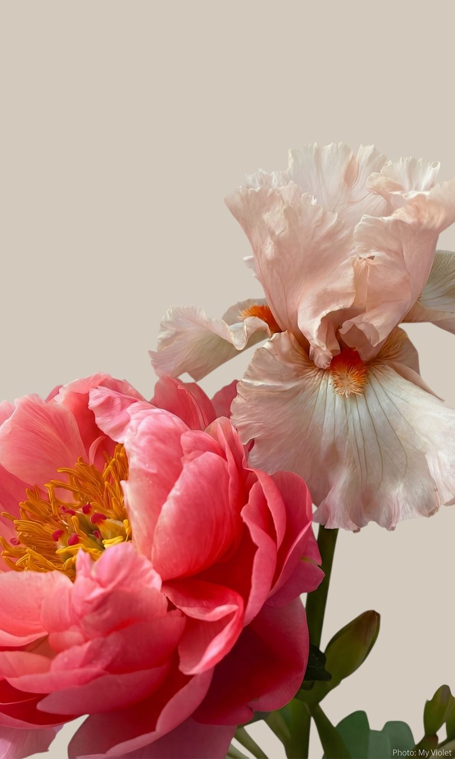 Stunning pink and beige pastel floral arrangement acting as a cohesive visual anchor for a modern, neutral wedding palette.