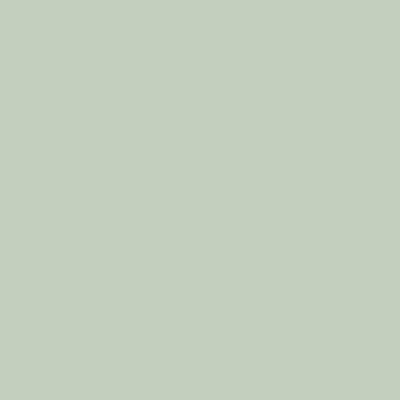 A stunning sage green chiffon fabric swatch, ensuring flawless colour accuracy for your boutique bridesmaid dresses.